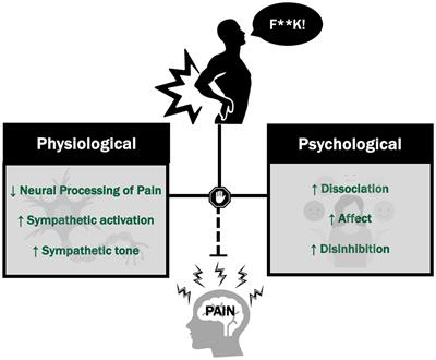 F@#$ pain! A mini-review of the hypoalgesic effects of swearing